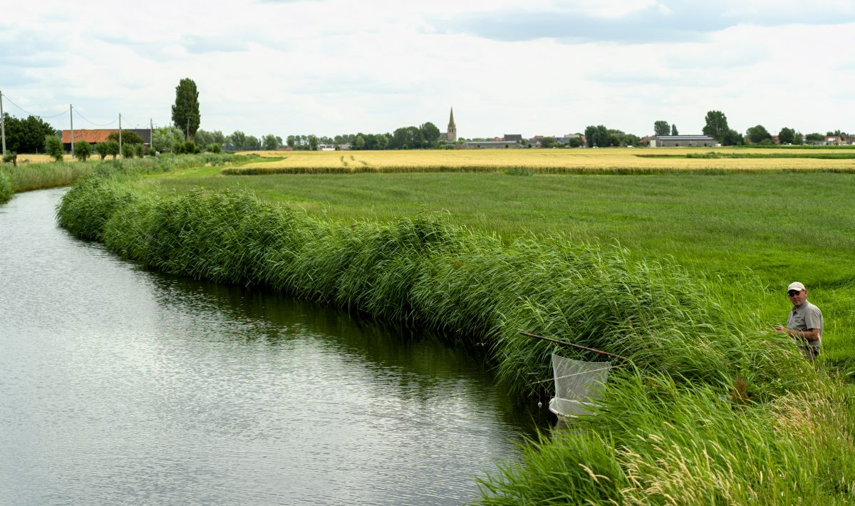 eel fisherman in Veurne, Belgium